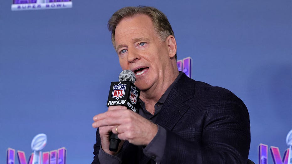 GettyImages-goodell-1-copy